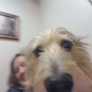 Meet your Posher, Karen